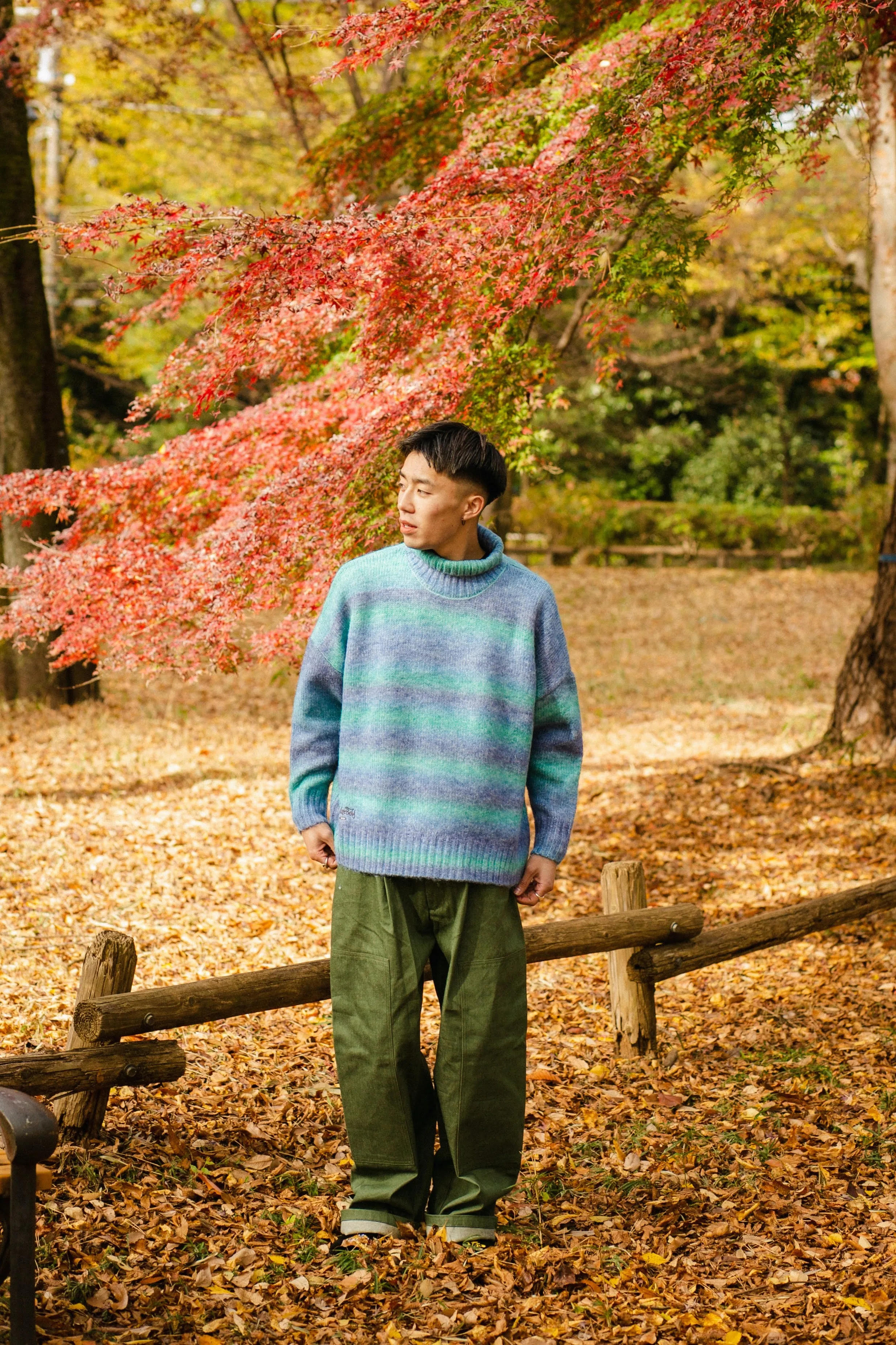 gradation turtleneck knit