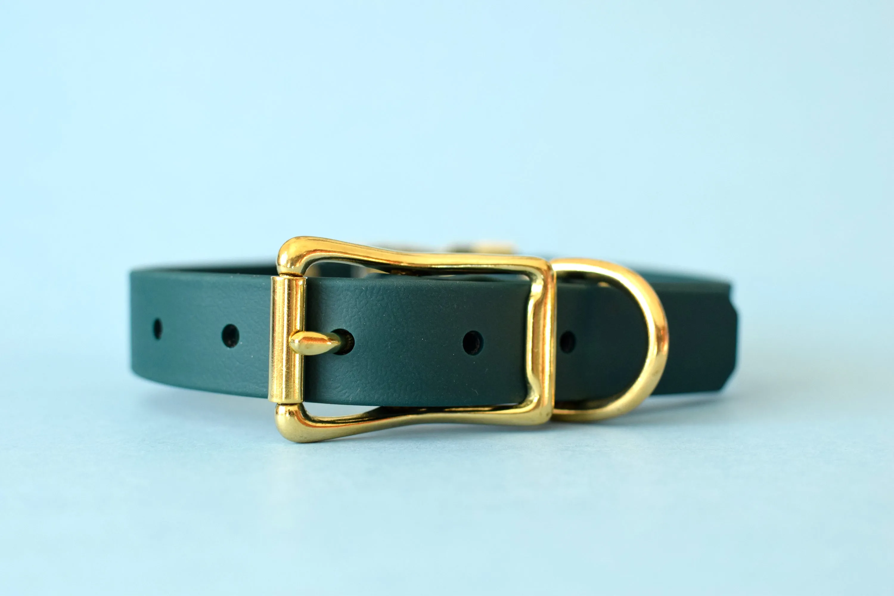 HARDWARE RETIREMENT SALE - Forest & Brass Biothane Dog Collar