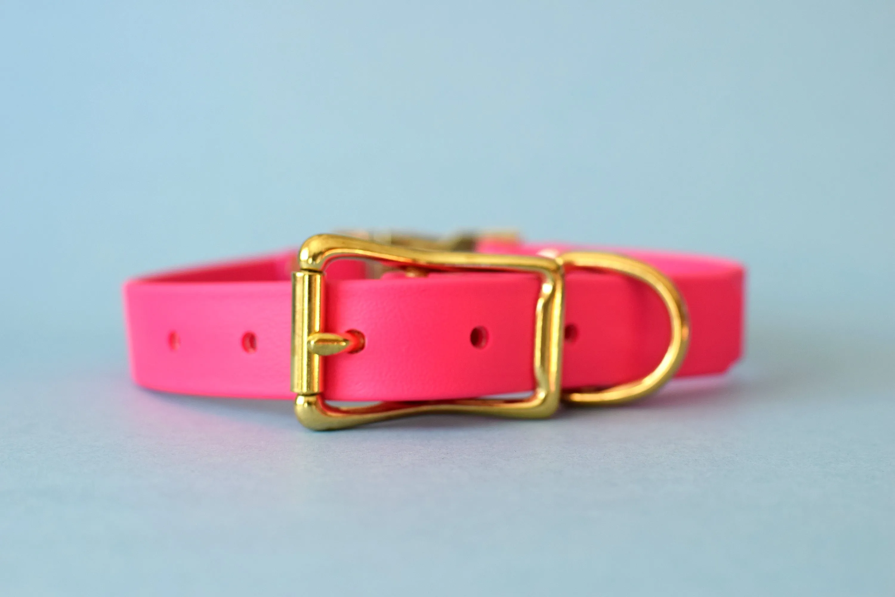 HARDWARE RETIREMENT SALE - Fuchsia & Brass Biothane Dog Collar