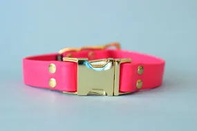 HARDWARE RETIREMENT SALE - Fuchsia & Brass Biothane Dog Collar