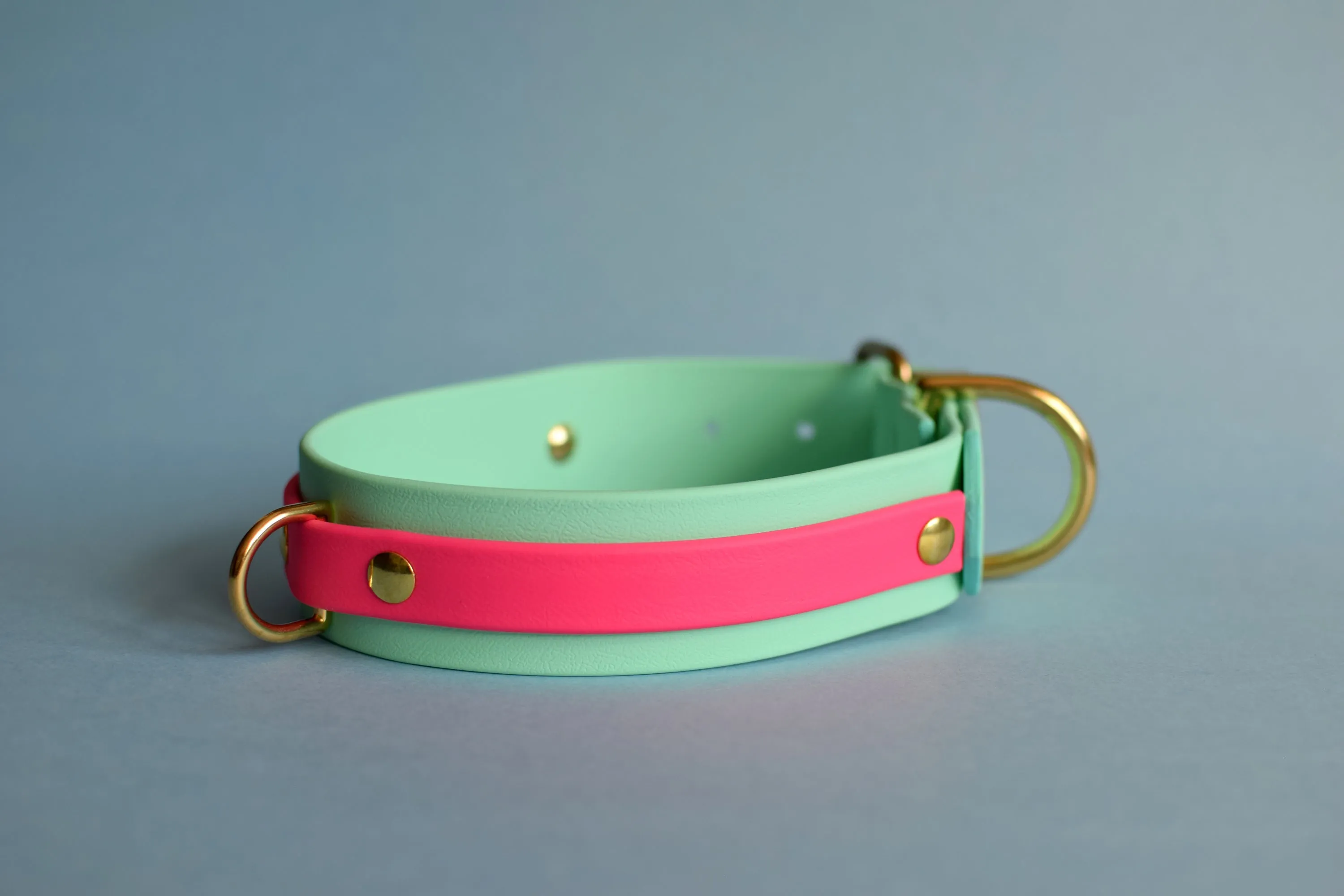 PREMADE COLLECTION - Seafoam & Fuchsia Biothane Dog Collar