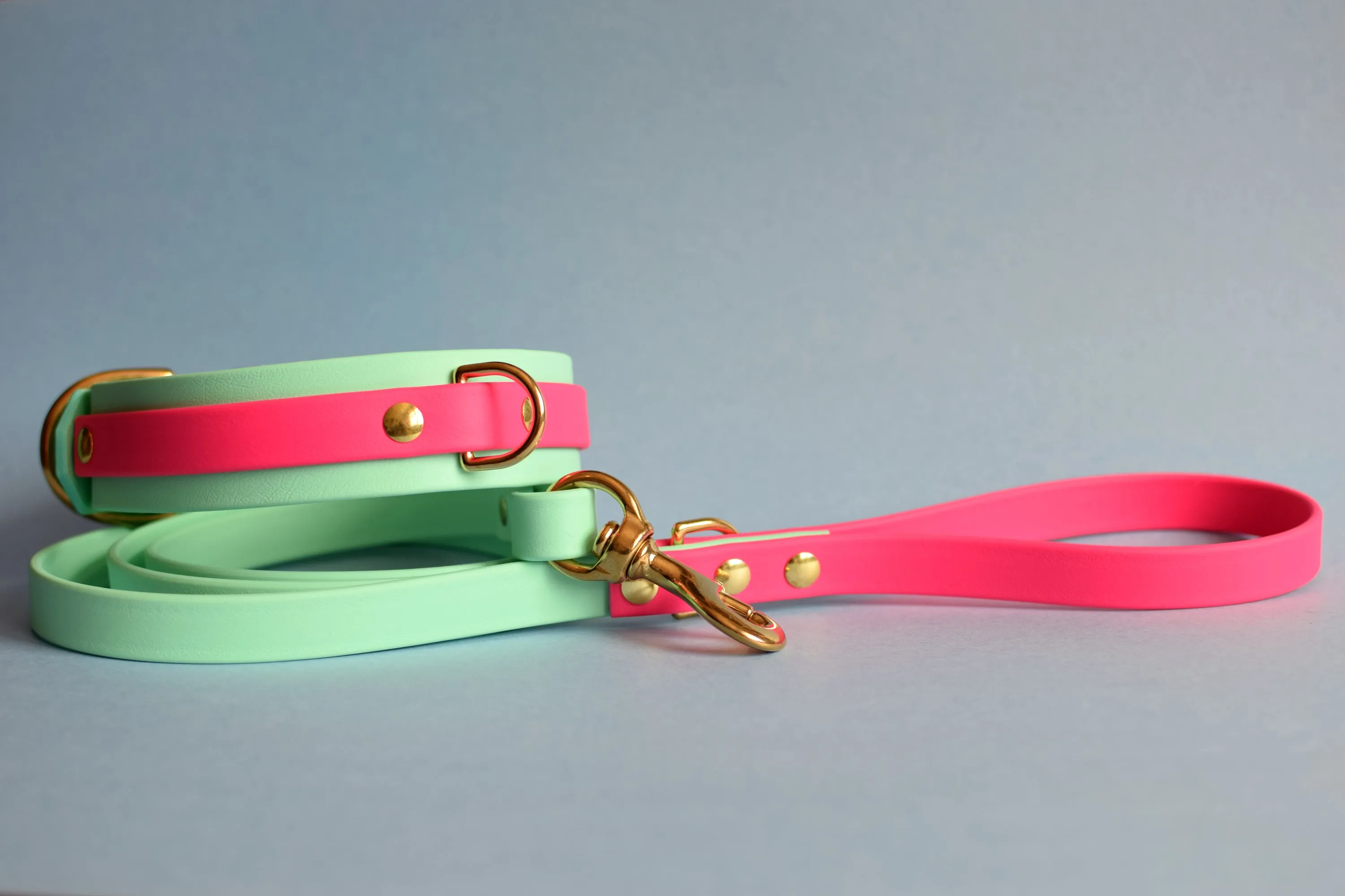 PREMADE COLLECTION - Seafoam & Fuchsia Biothane Dog Collar