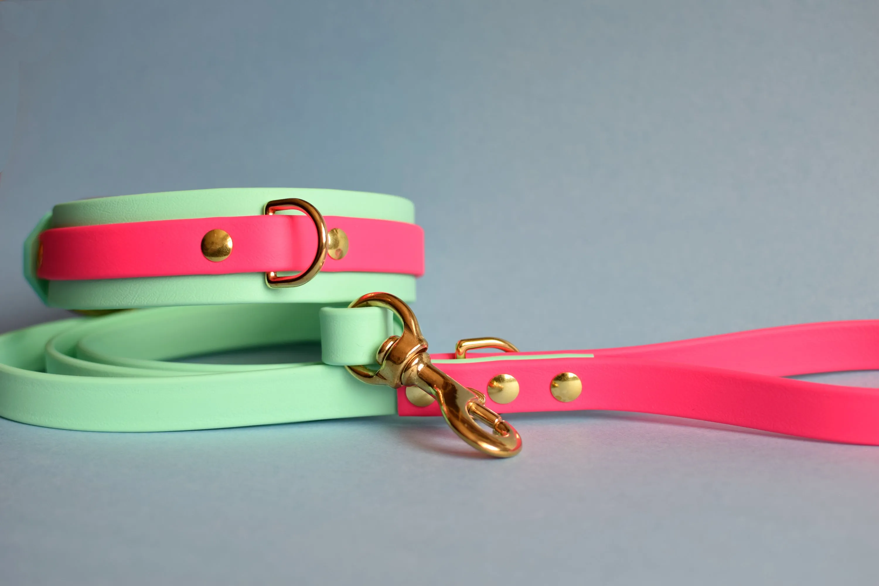 PREMADE COLLECTION - Seafoam & Fuchsia Biothane Dog Collar