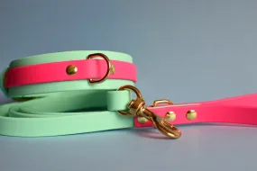 PREMADE COLLECTION - Seafoam & Fuchsia Biothane Dog Collar