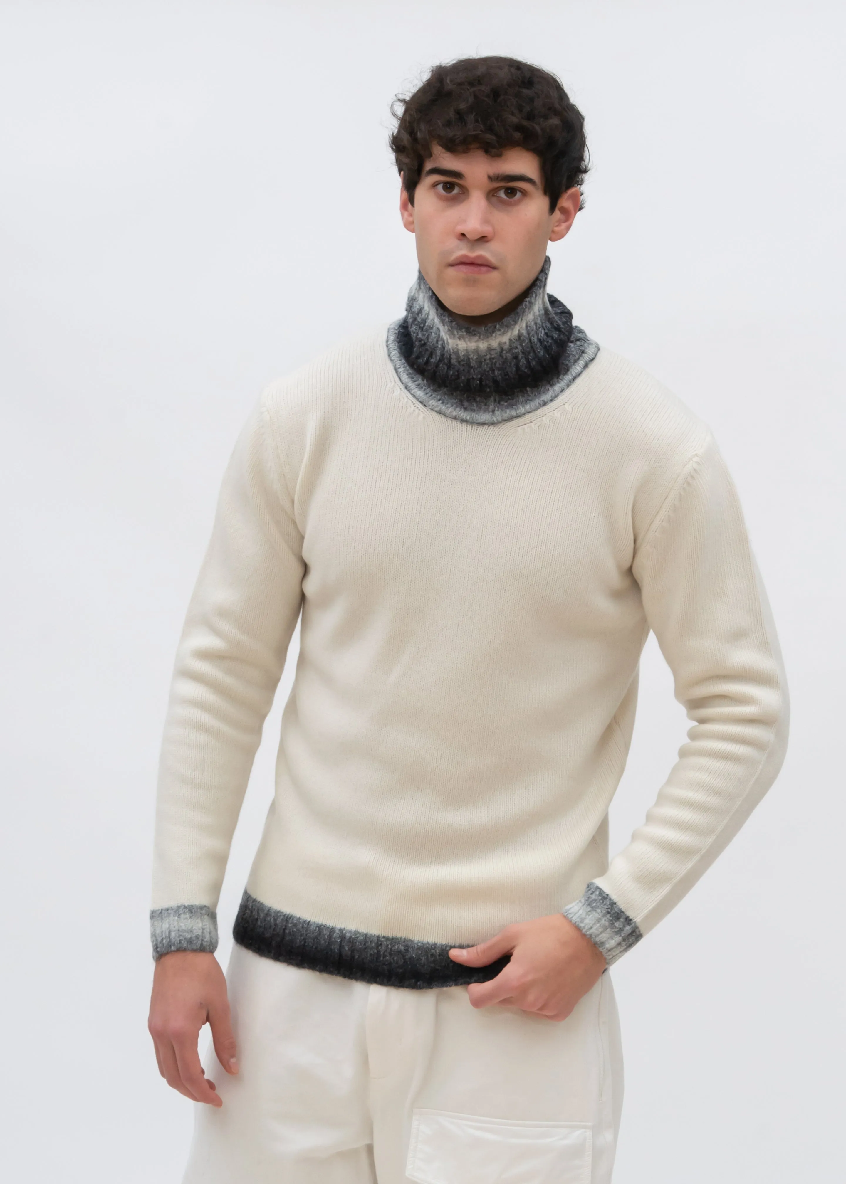 SHADED EFFECT DETAILS TURTLENECK SWEATER